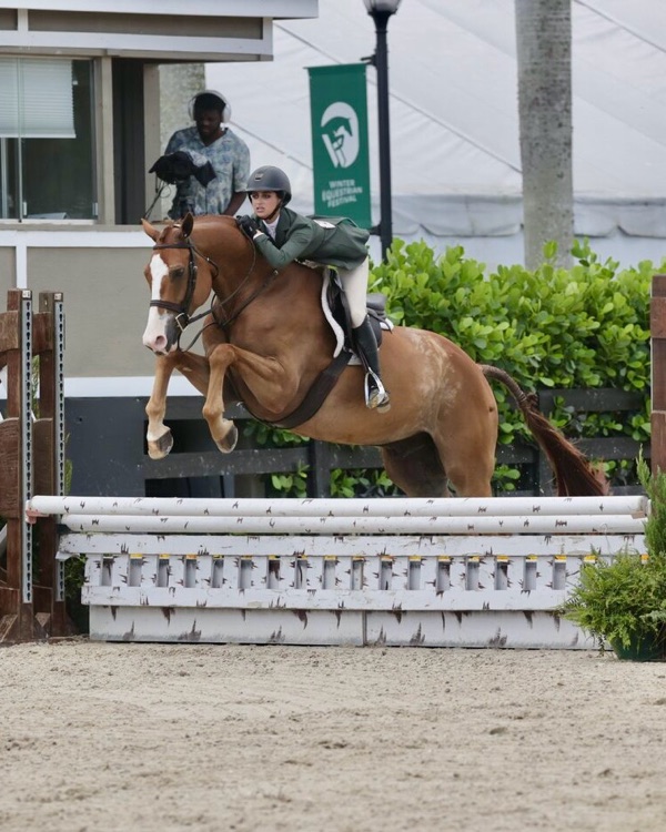 Chestnut horse and rider clearing a fence at a South Florida horse show
