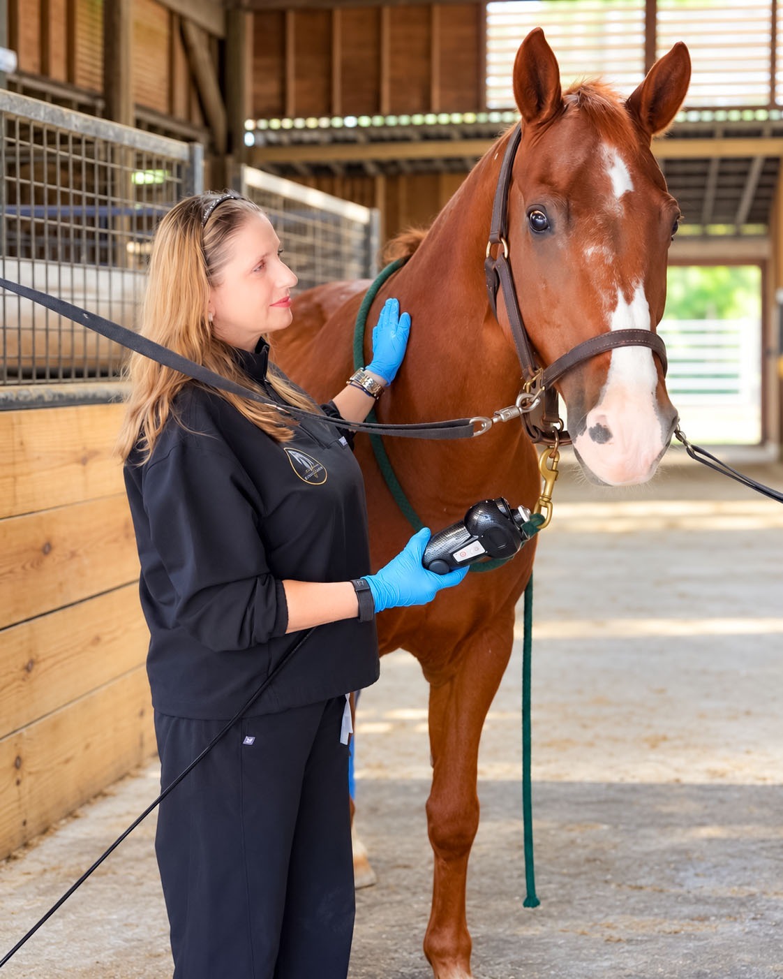 Lisa Humayun with a chestnut horse during a localized cryotherapy session in a barn aisle